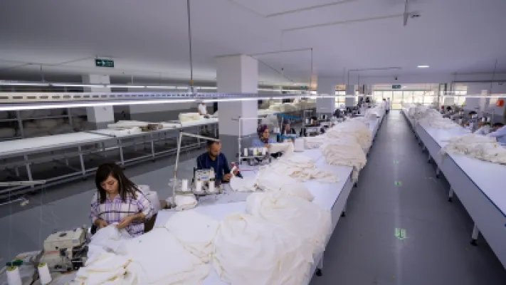 IMG_E49FCD-21A9DC-B3D038-73EC2C-1A2C5A-2CFAFC